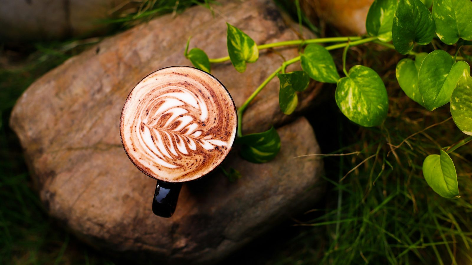 a cappuccino sitting on top of a rock